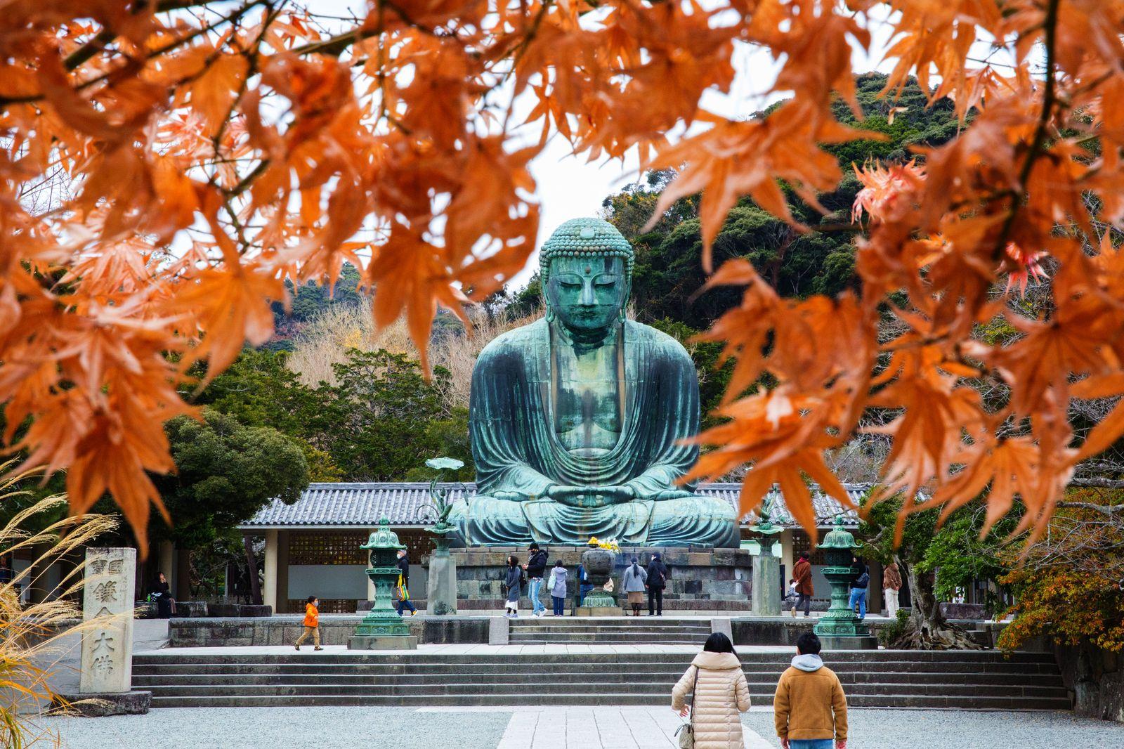 Japan Tokyo-Kamakura-Mt. Fuji 5D4N Tour Gallery 2